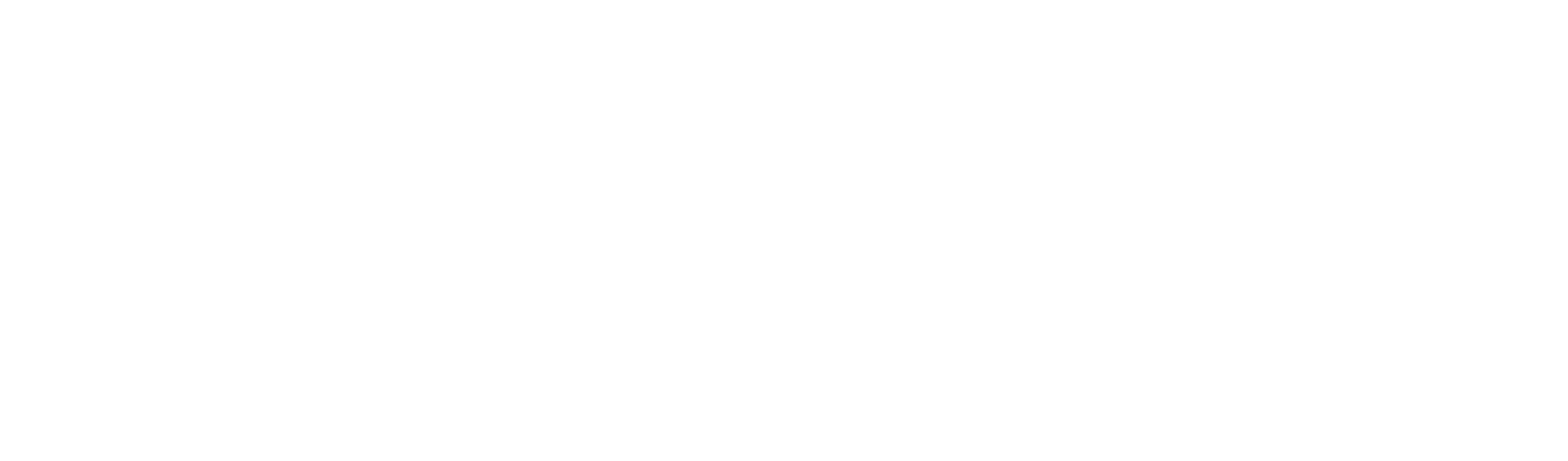 NEXUS Flat Logo